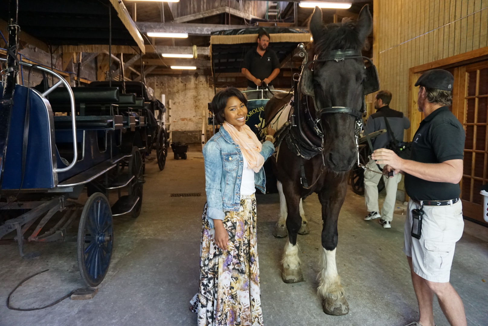 Charleston-South-Carolina-Horse-Carrage-Pink-Proverb