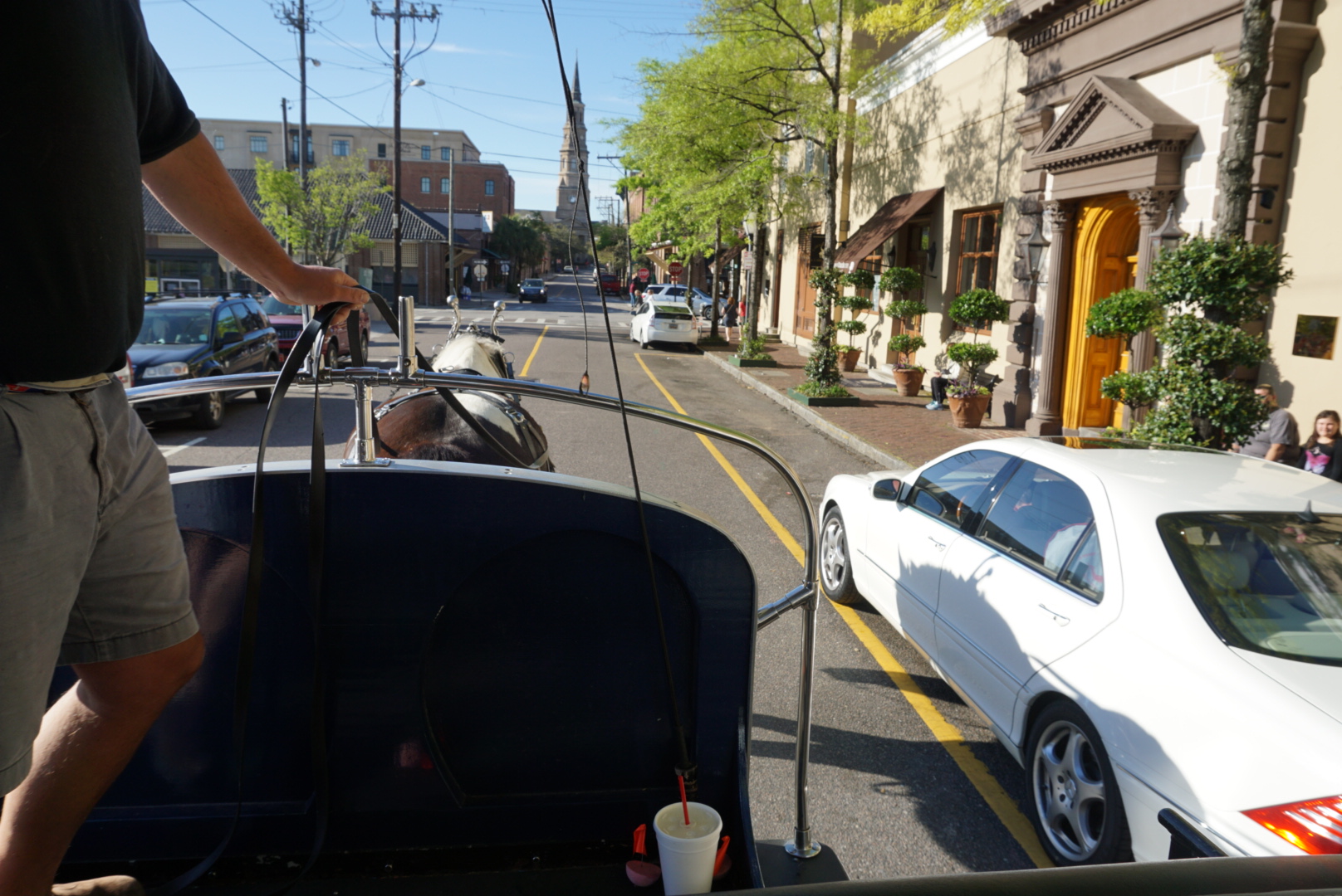 Horse-back-carriage-charleston-south-carolina-pink-proverb