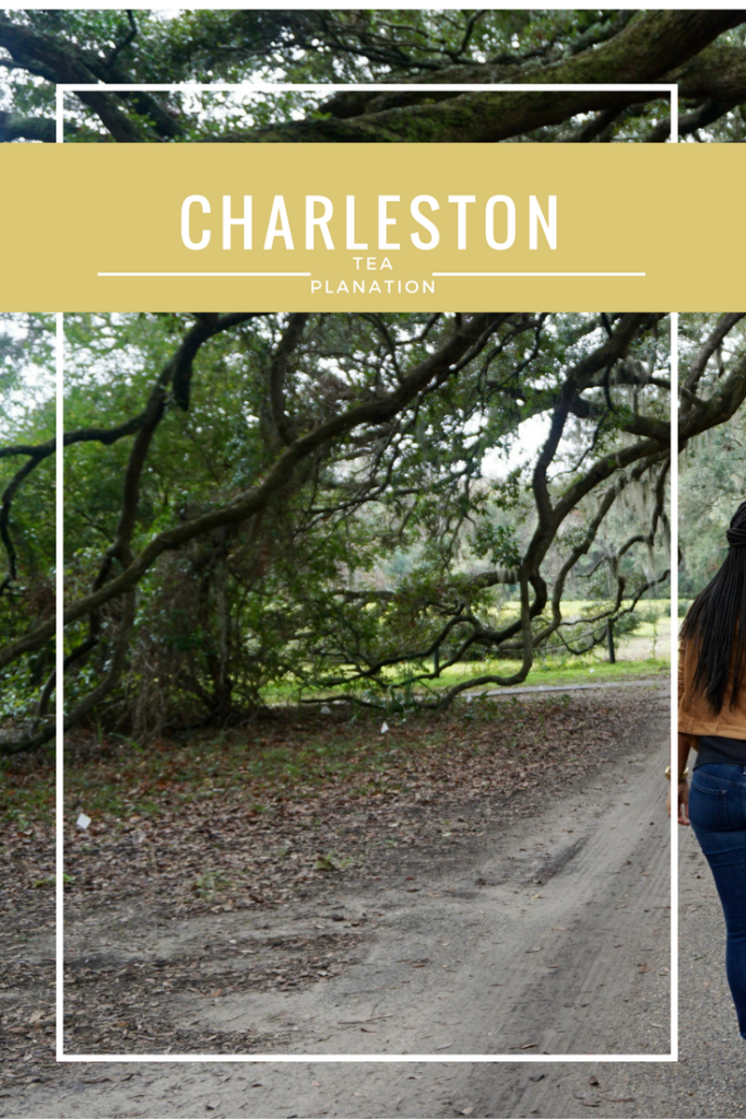 Charleston-SC-Tea-Plantation-Pink-Proverb