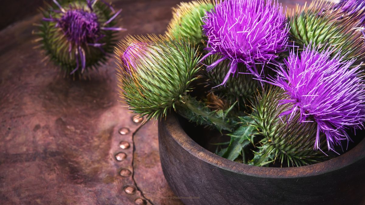 is milk thistle good for endometriosis