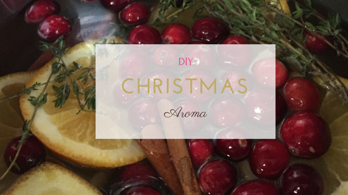 Christmas Scent | Stovetop DIY