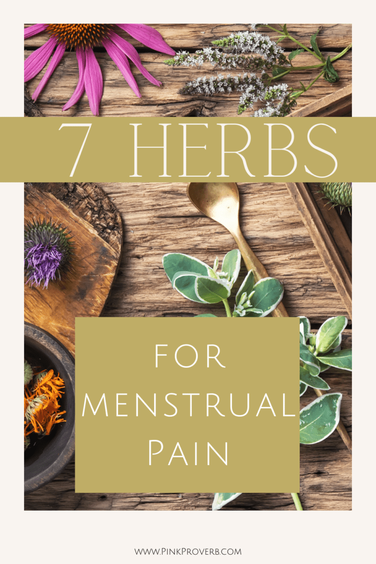 7 Herbs for Menstrual Cramps