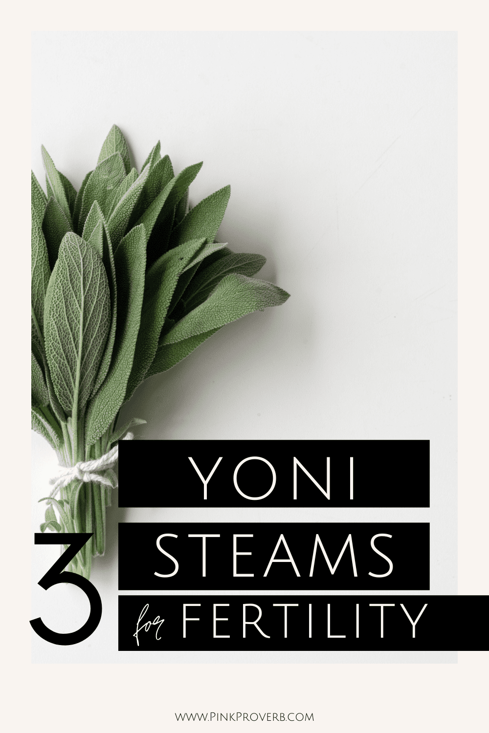 6 herbs for fertility_ yoni steam recipes