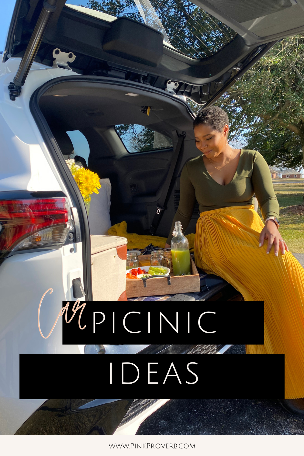 family picnic ideas