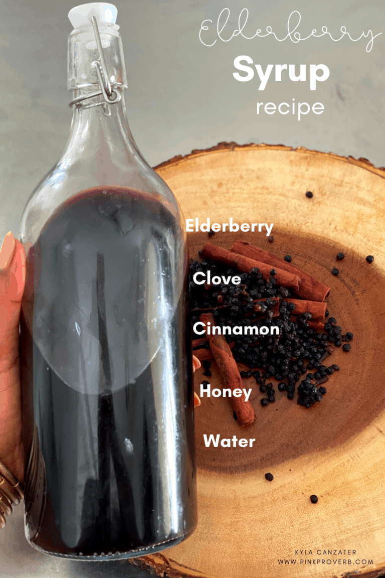 fresh elderberry syrup