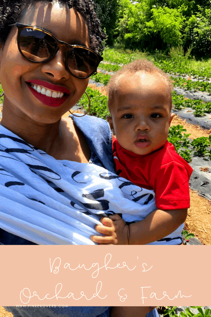 strawberry picking in maryland_ 3 farms to visit