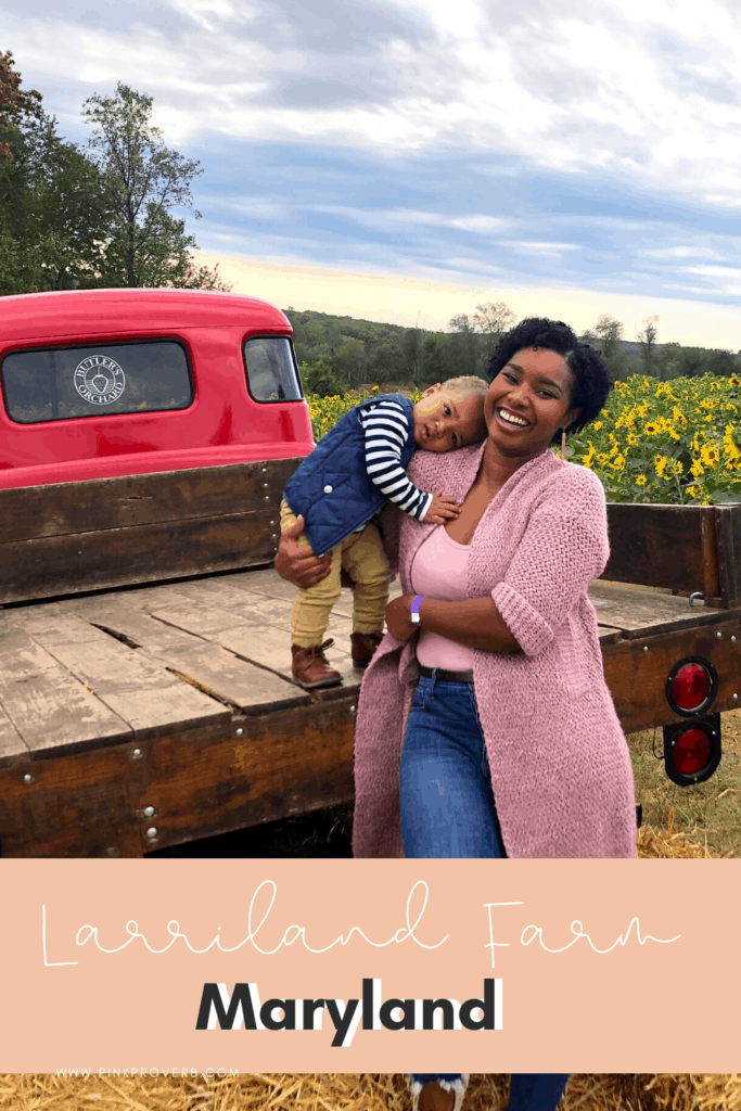 Maryland strawberry picking in Germantown_PinkProverb