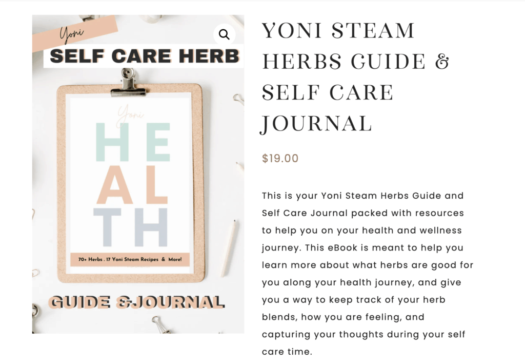 wellness and self care journal
