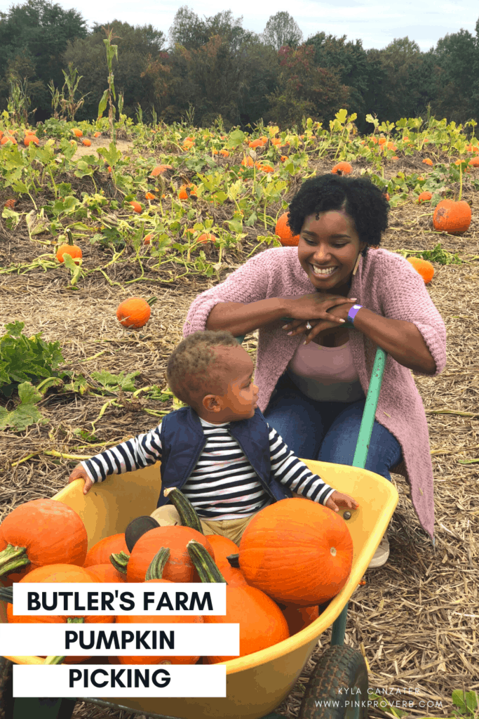 Best Pumpkin Patches in Maryland