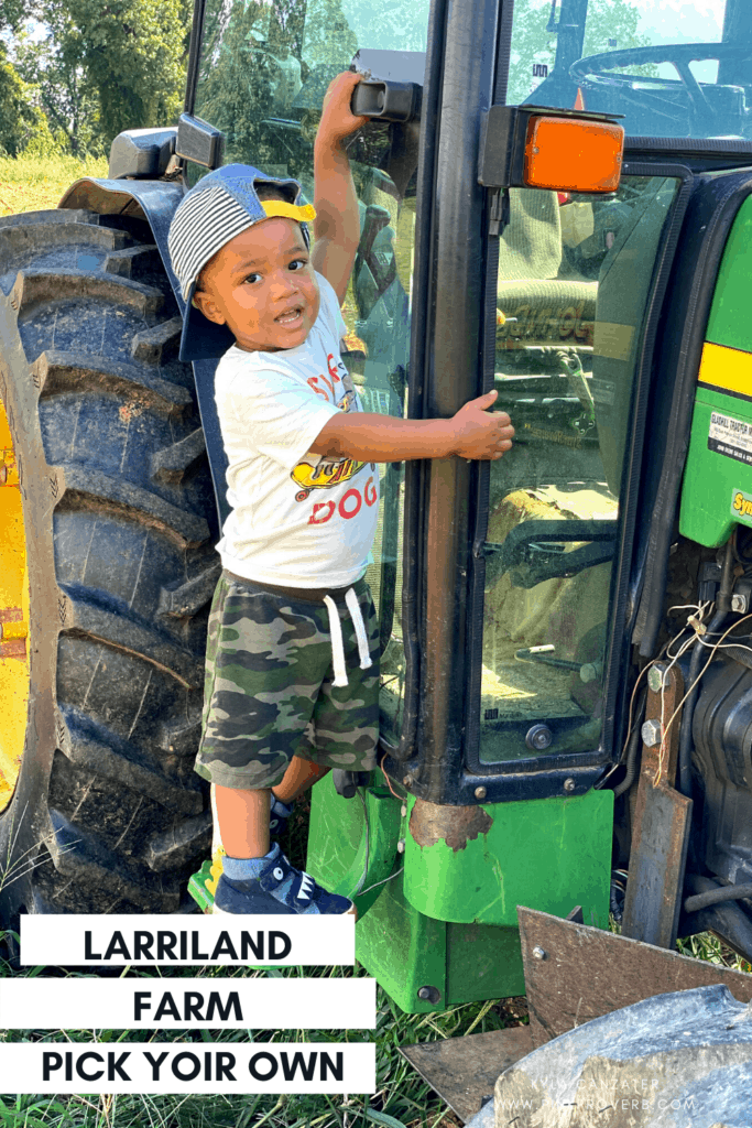 Best Pumpkin Patches in Maryland