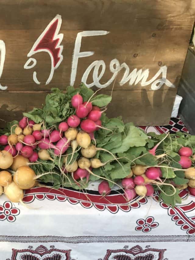 Charleston Farmers Market Finds