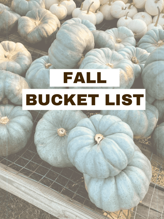 Fall Bucket List | Maryland Farm Finds