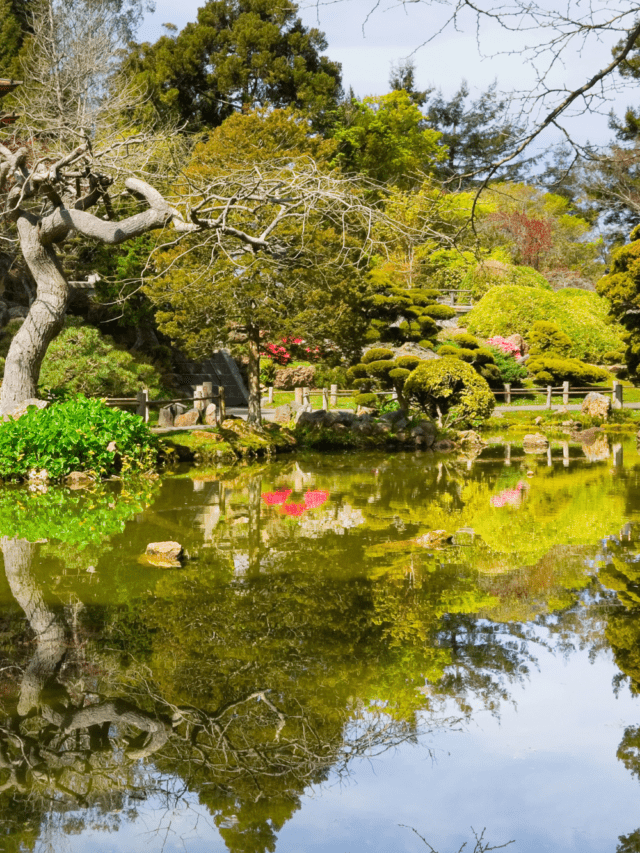 Japanese Tea Garden Story | San Antonio