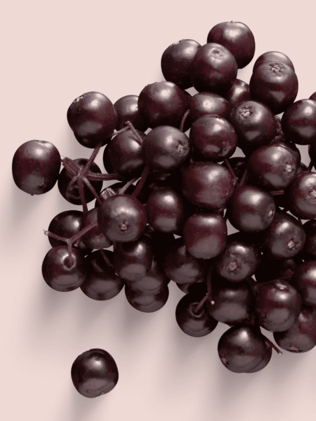 4 Surprising Elderberry Benefits