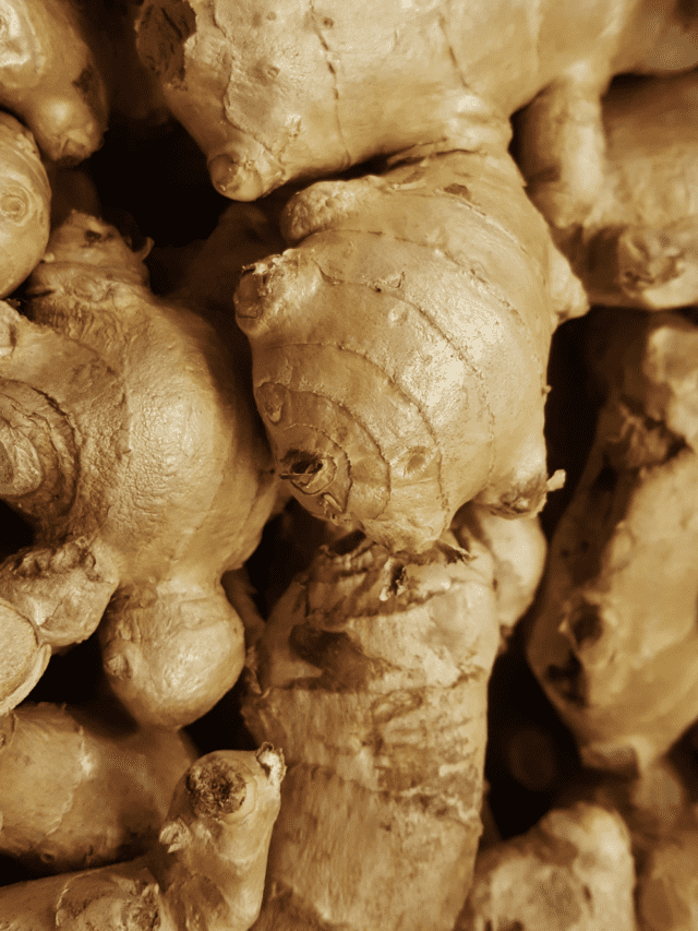 Amazing Ginger Health Benefits Story