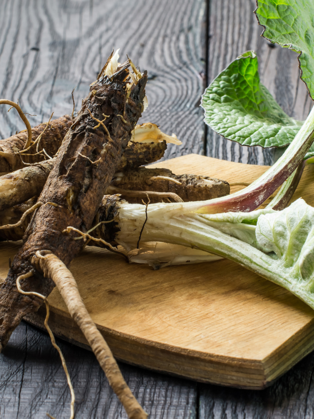 Does Burdock Root Help with Periods?