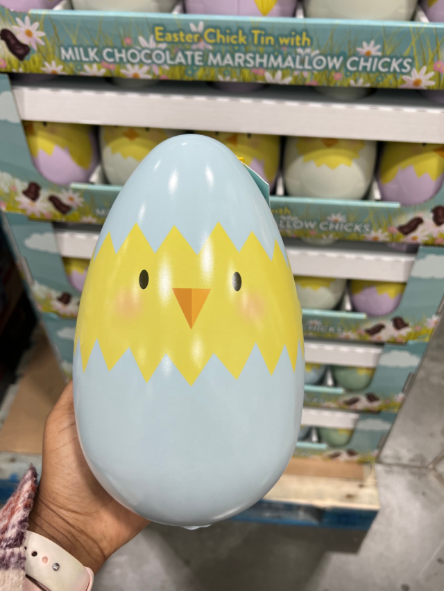 Unique Costco Easter Basket Finds Under $15