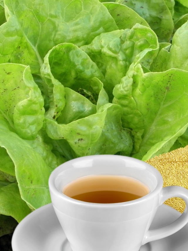 Easy Sleep Tea with Lettuce! Story