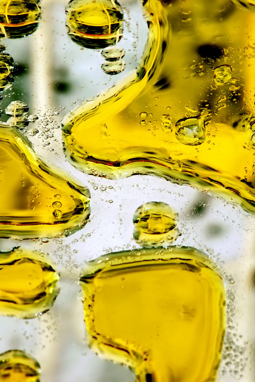 the best cooking oil for inflammation