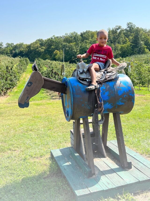 Must Visit PA Apple Farm Things to Do with Kids Wellness Lifestyle