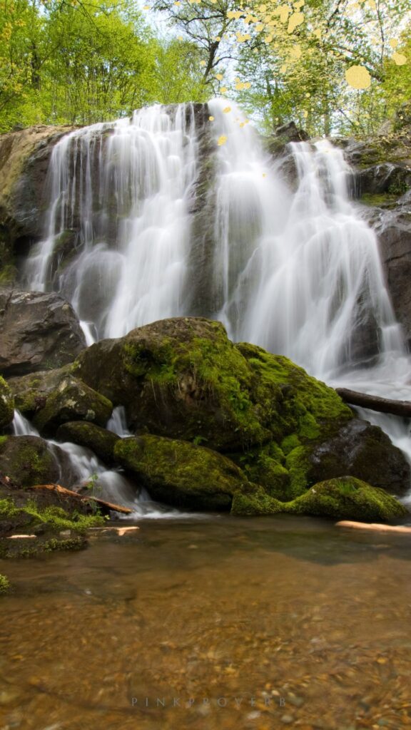 2 days in asheville_ national parks