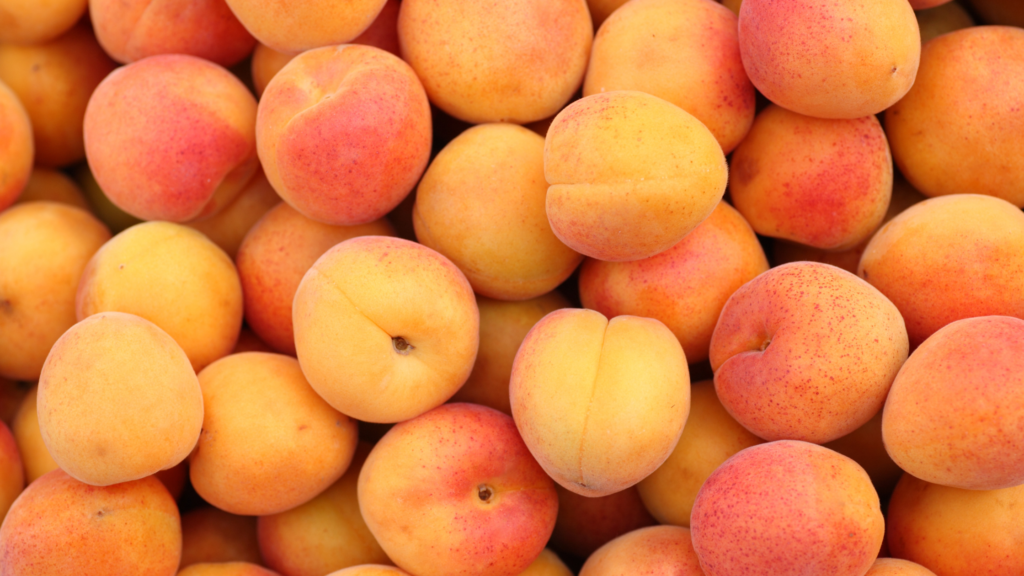 high protein fruits_ apricot