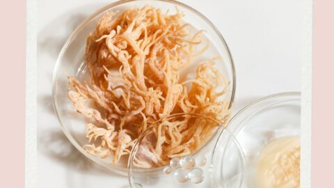 is sea moss healthy_ sea moss health benefits