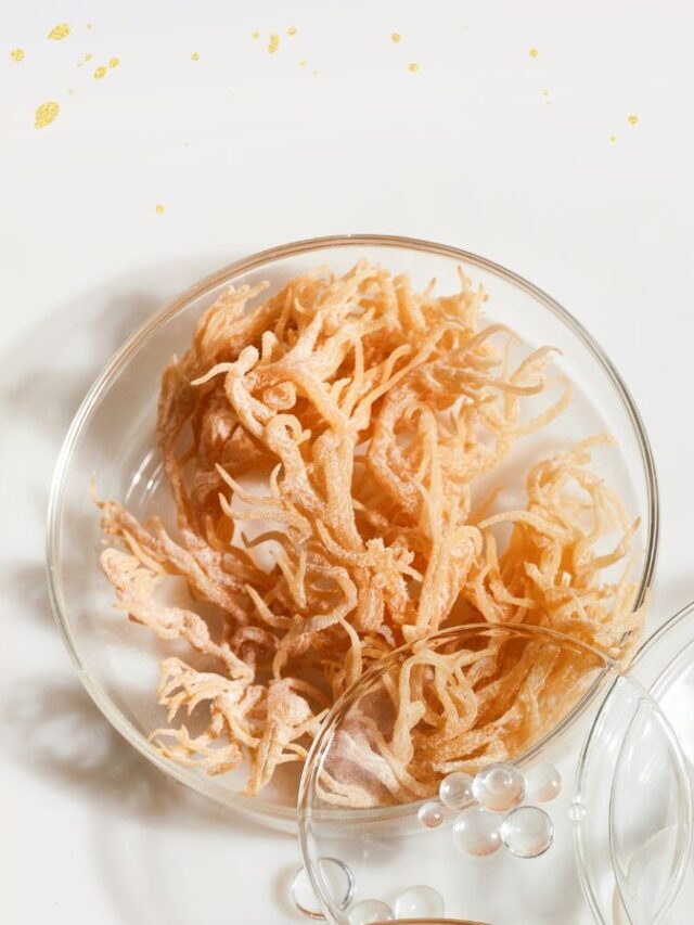 Amazing 10 Minerals in Sea Moss