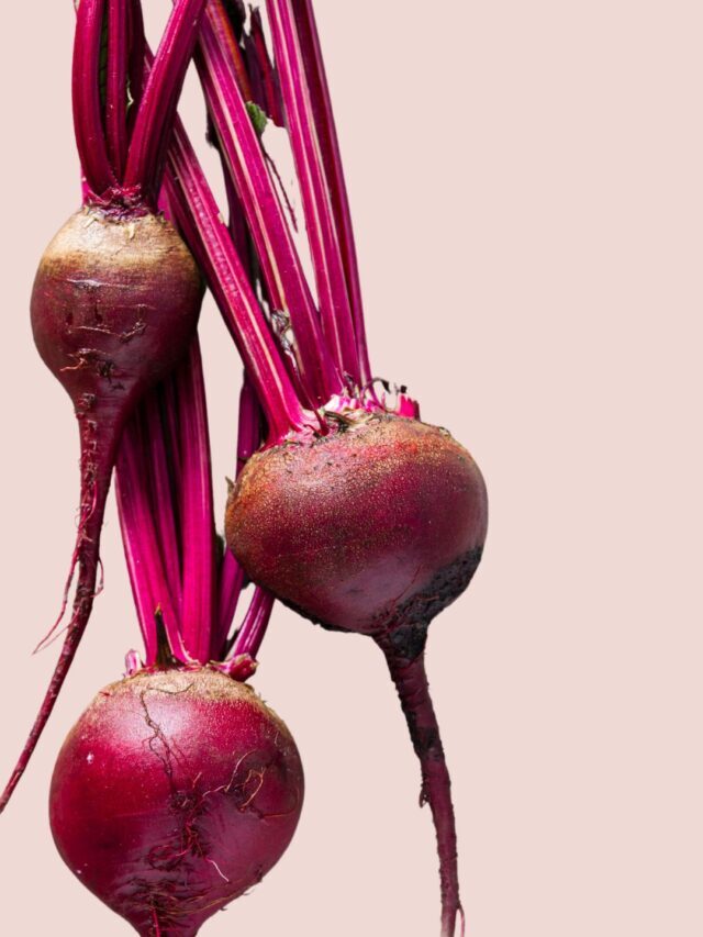 22 Amazing Beet Vitamin & Minerals