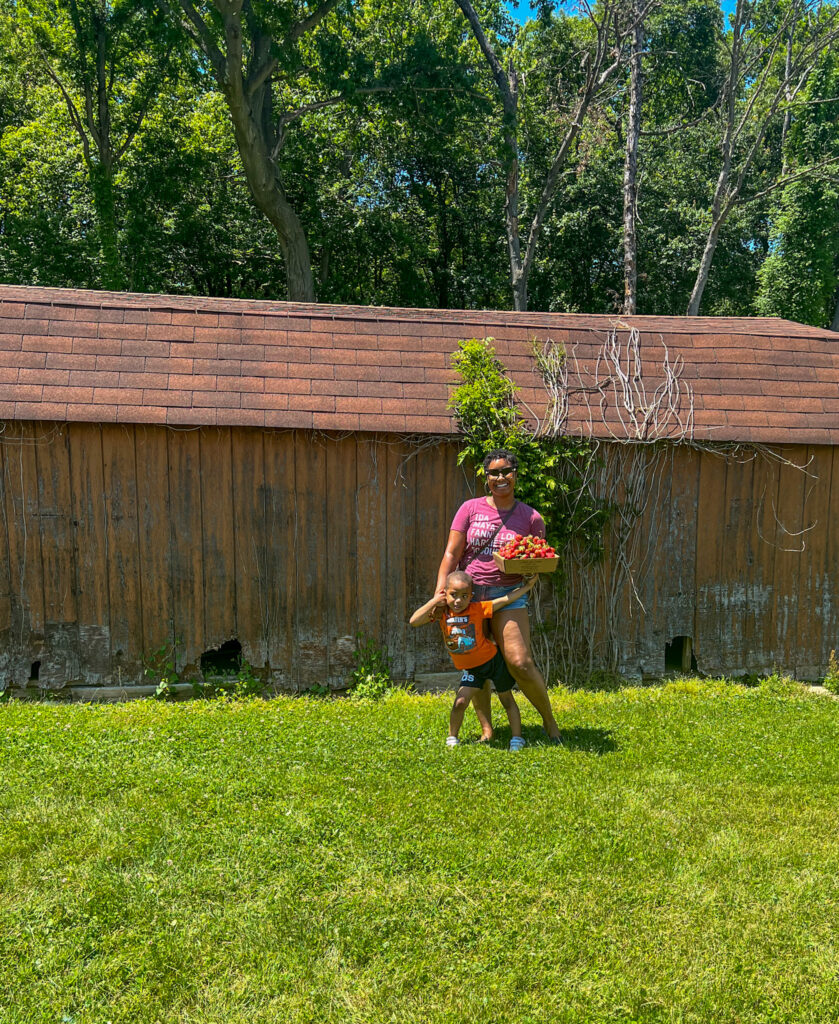 maryland strawberry picking