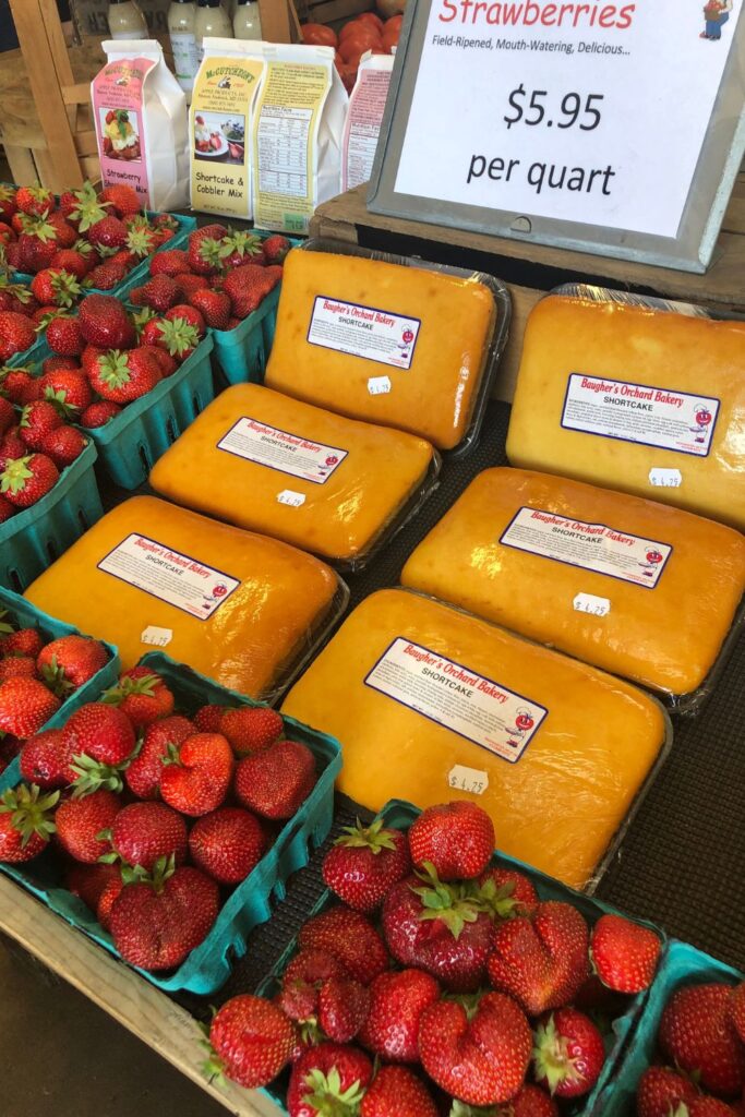 maryland strawberry picking_baughers