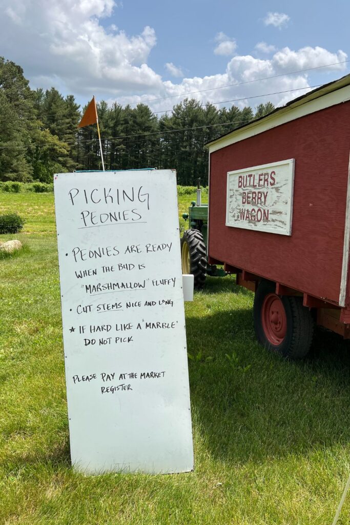 picking season_butler farm maryland