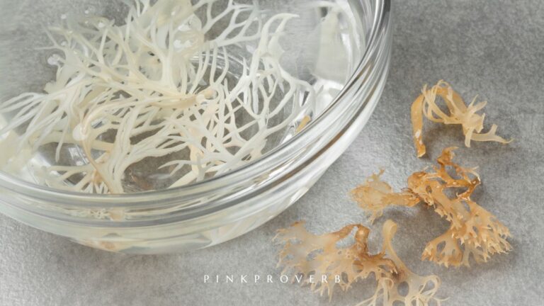 Is Sea Moss Good for Gut Health?_gut health_pink proverb