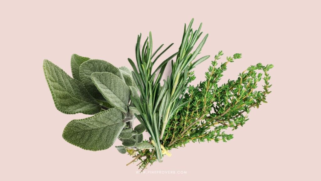 What Herbs to Plant in Fall_healing guide_pink proverb