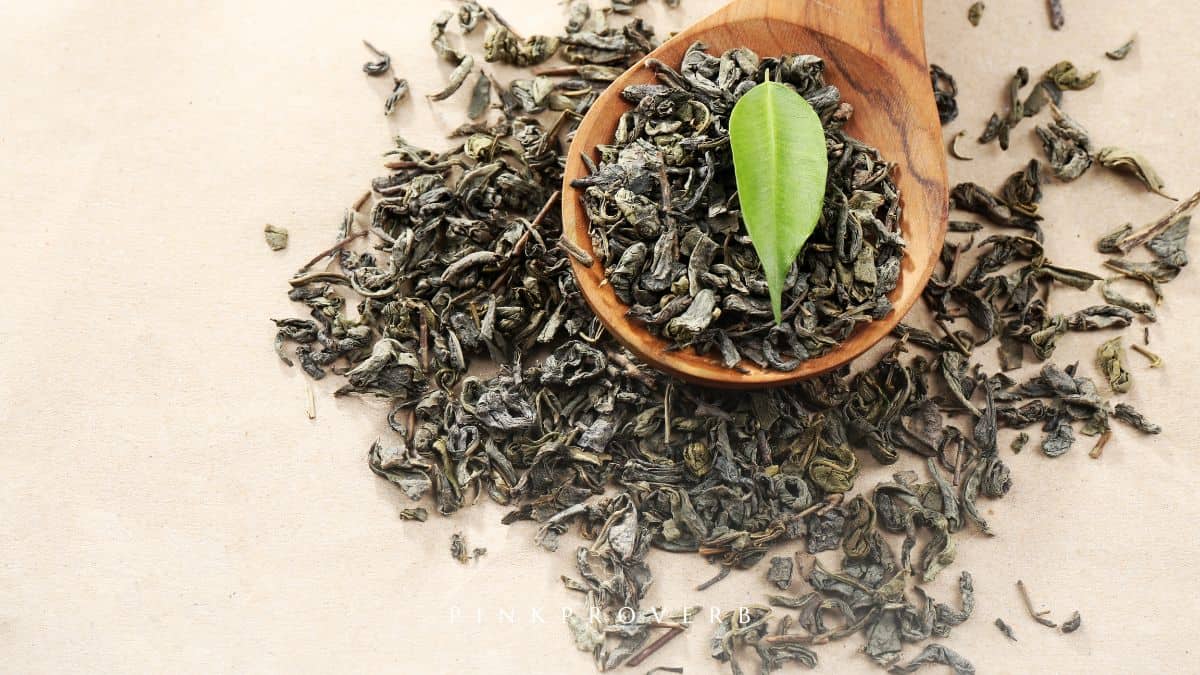 green tea health benefits_health and wellness